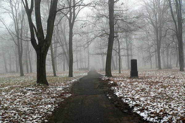 Asphalt trail in the winter park