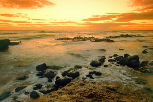 Sea rocks on the shore at sunset