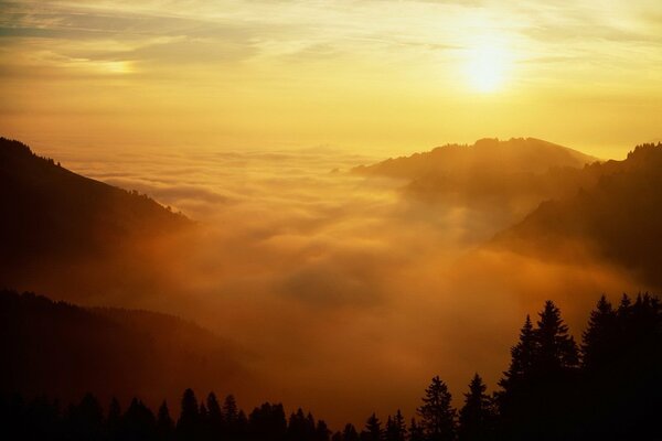 Vista desde las montañas, la niebla y el sol