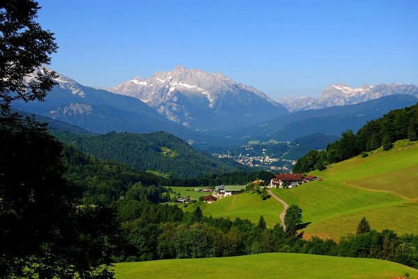 Alpine Wiesen umgeben von Bergen