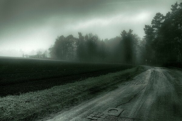 Una strada cupa che conduce lungo il campo