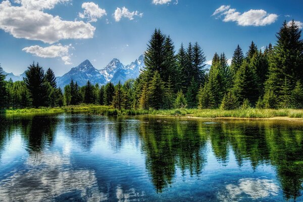 Lago Specchio nell albero di Natale più spesso