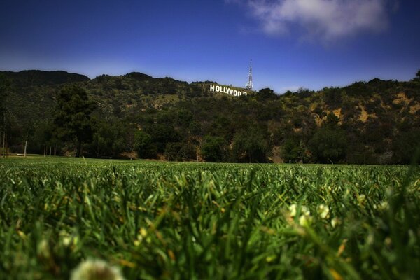 A playground with a green lawn in front of the hills with the inscription Hollywood