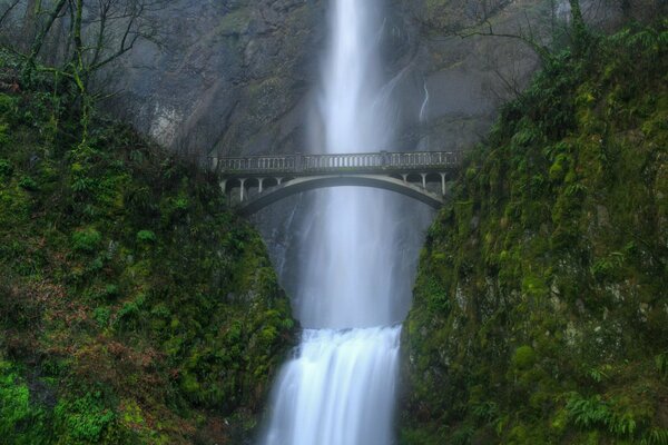 Bridge and waterfall, near greenery