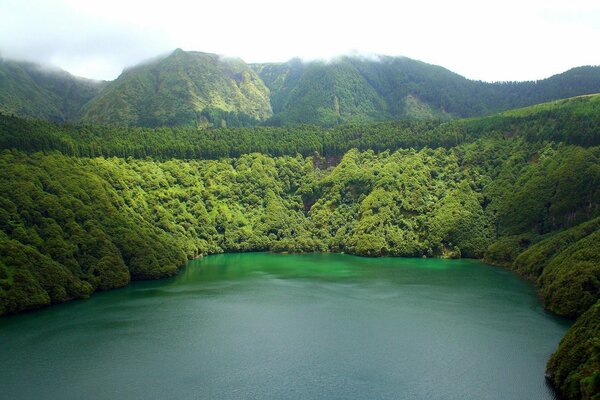 Lago nella foresta. Montagne verdi