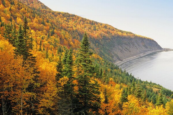 A dense autumn forest covers the hill above the river