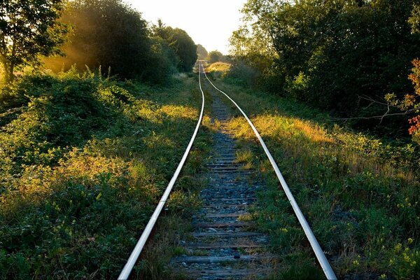 Chemin de fer au coucher du soleil