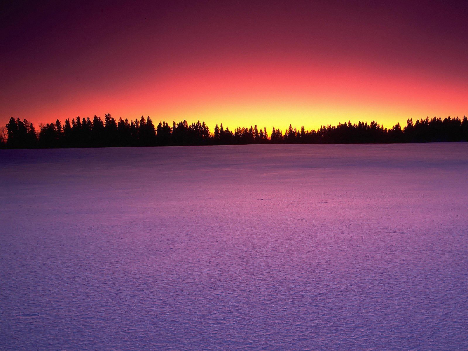 schnee sonnenuntergang bäume