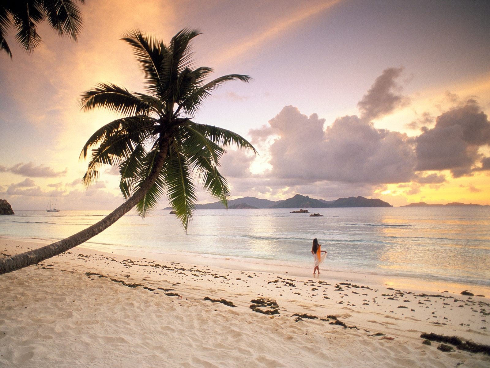 seychelles plage palma