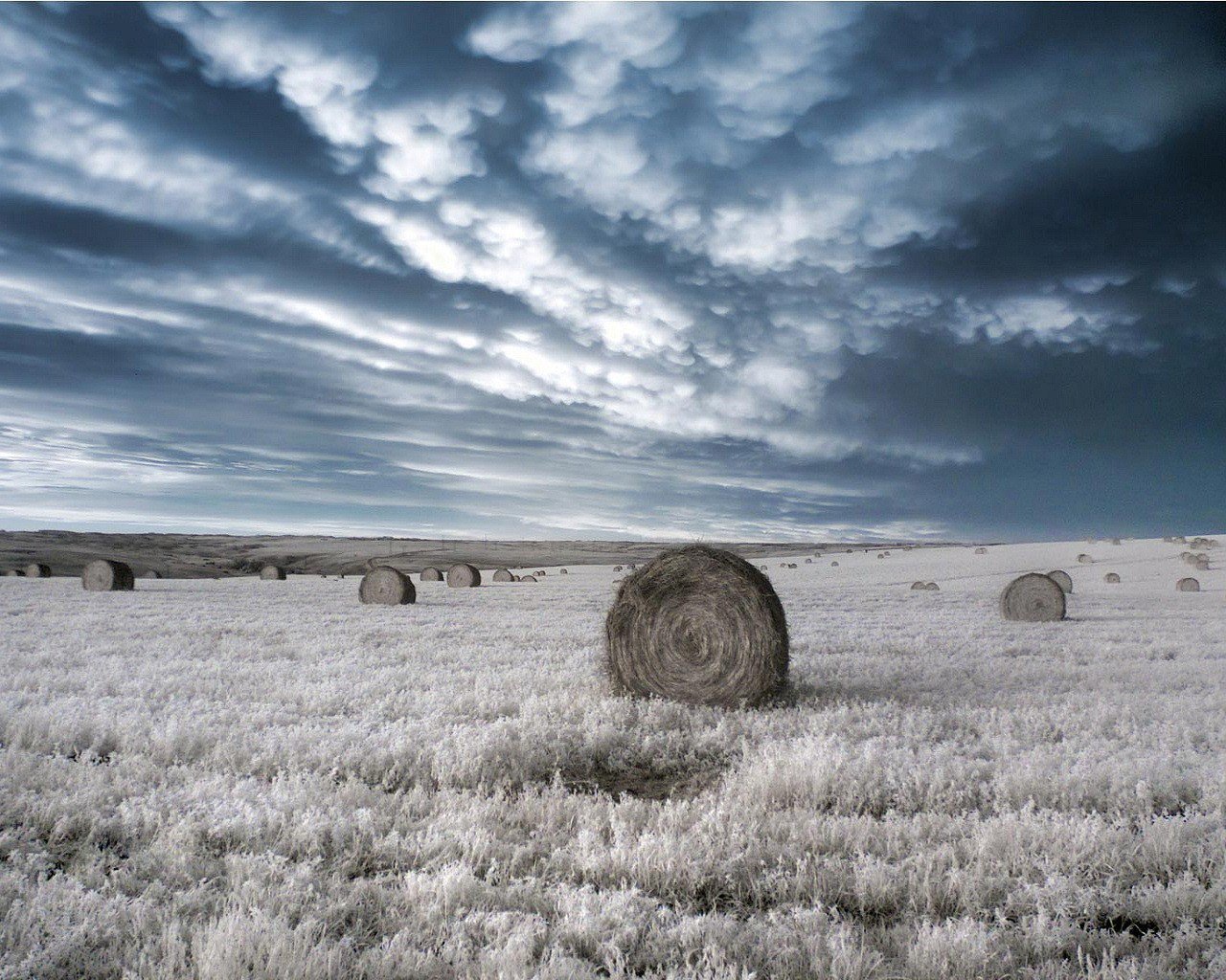 the field bales clouds ir