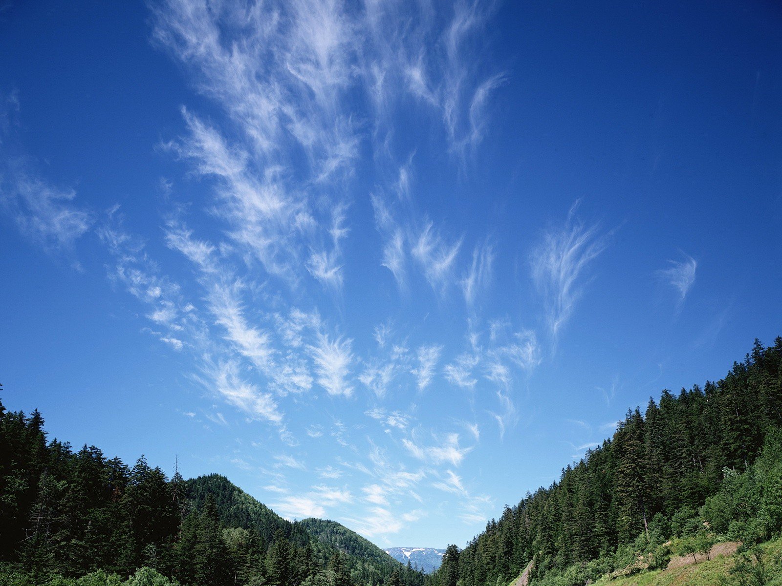 clouds sky forest