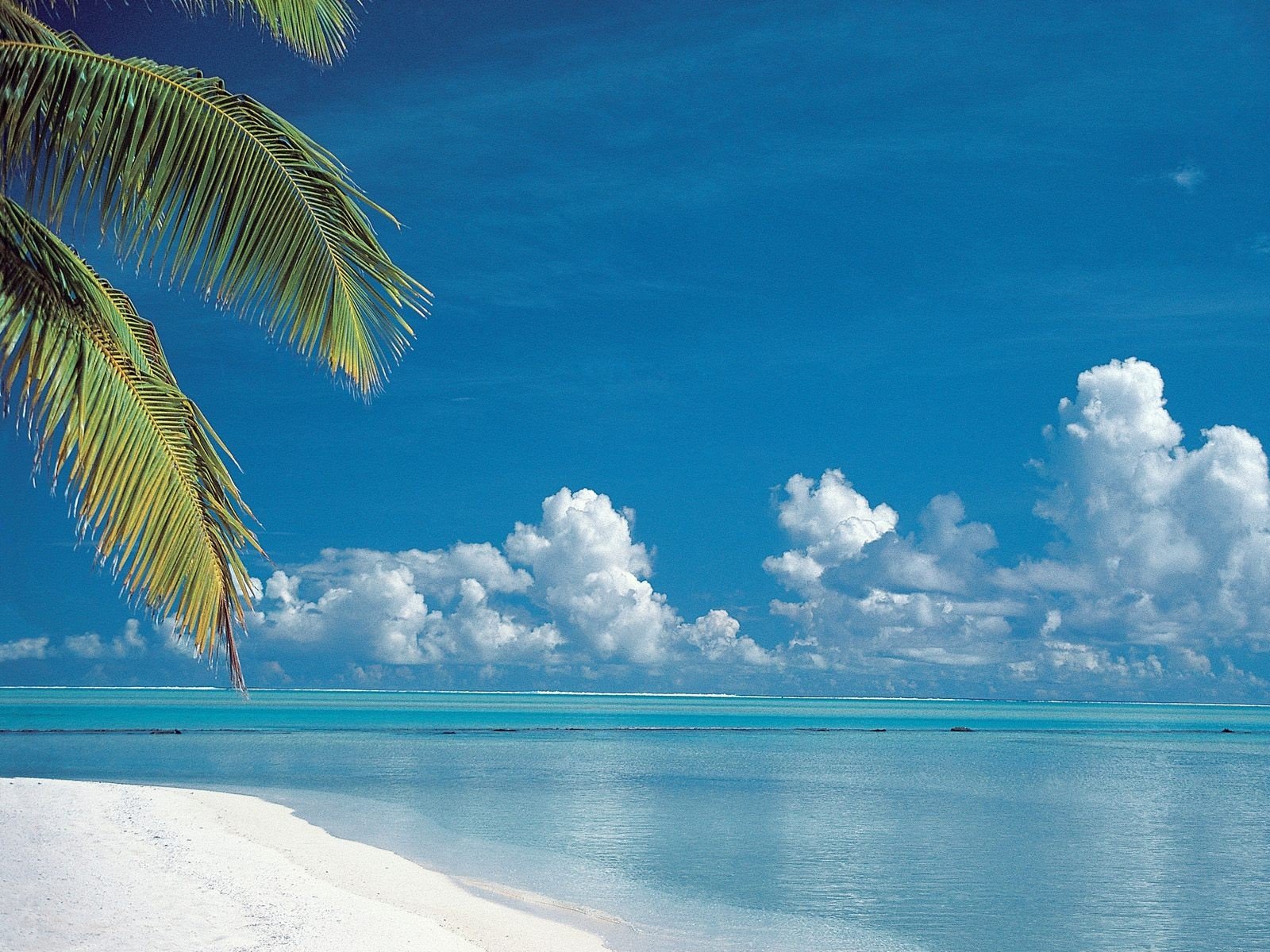 beach aitutaki cook island