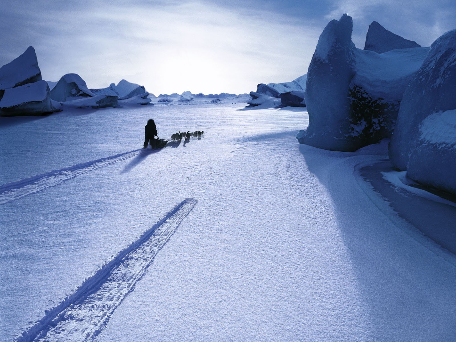 schnee hunde