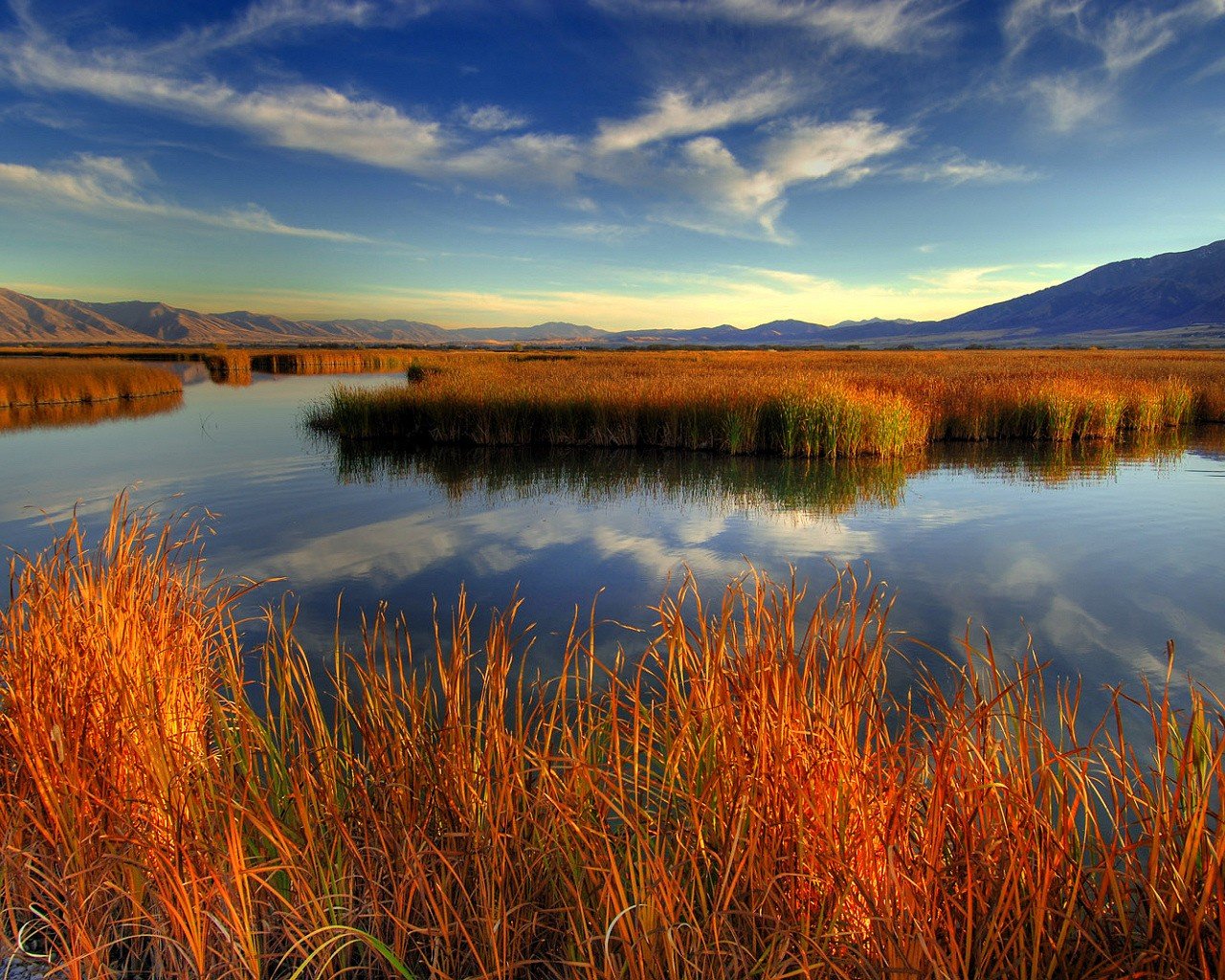 hierba lago nubes