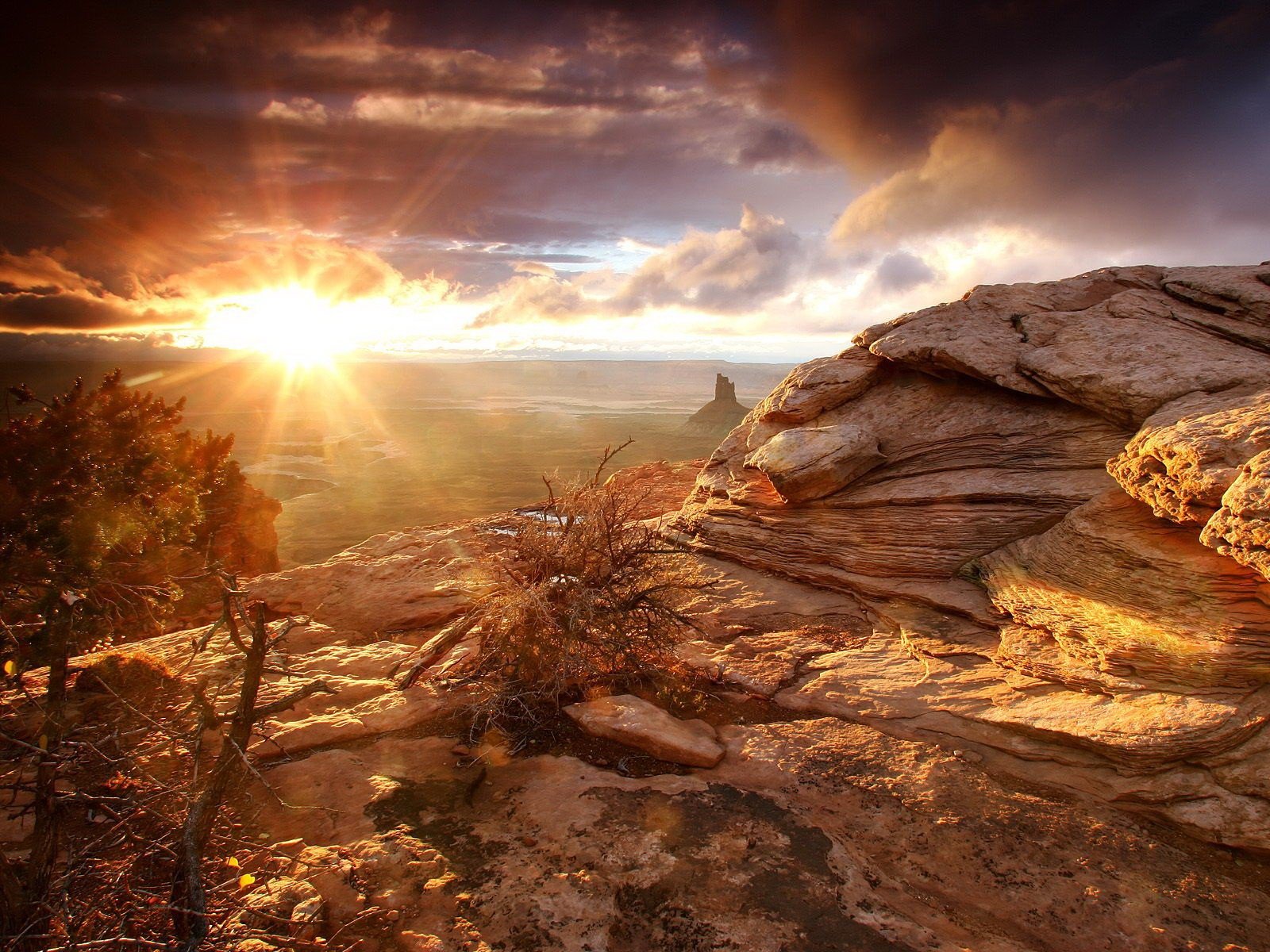 morning rock desert