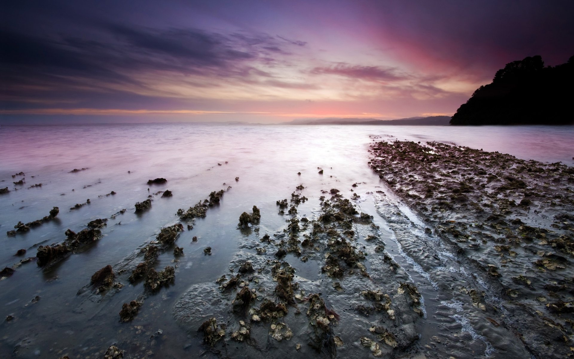 beach sea stones horizon