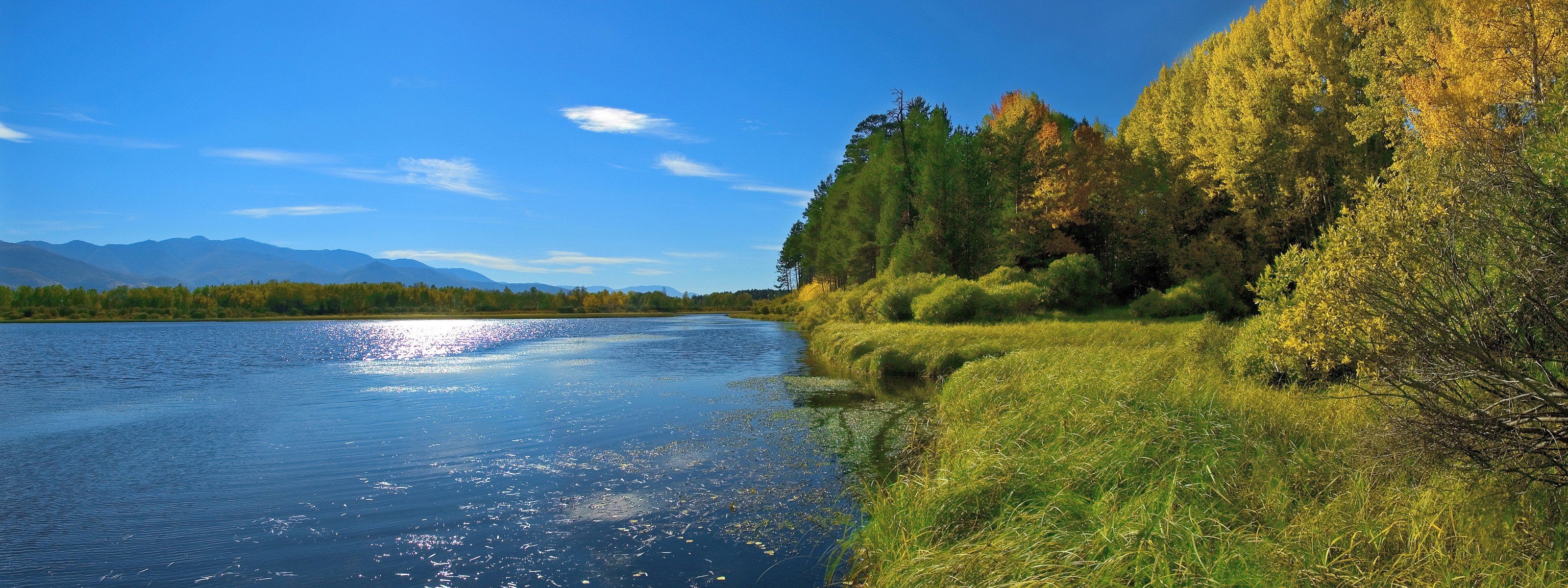 ufer sommer see