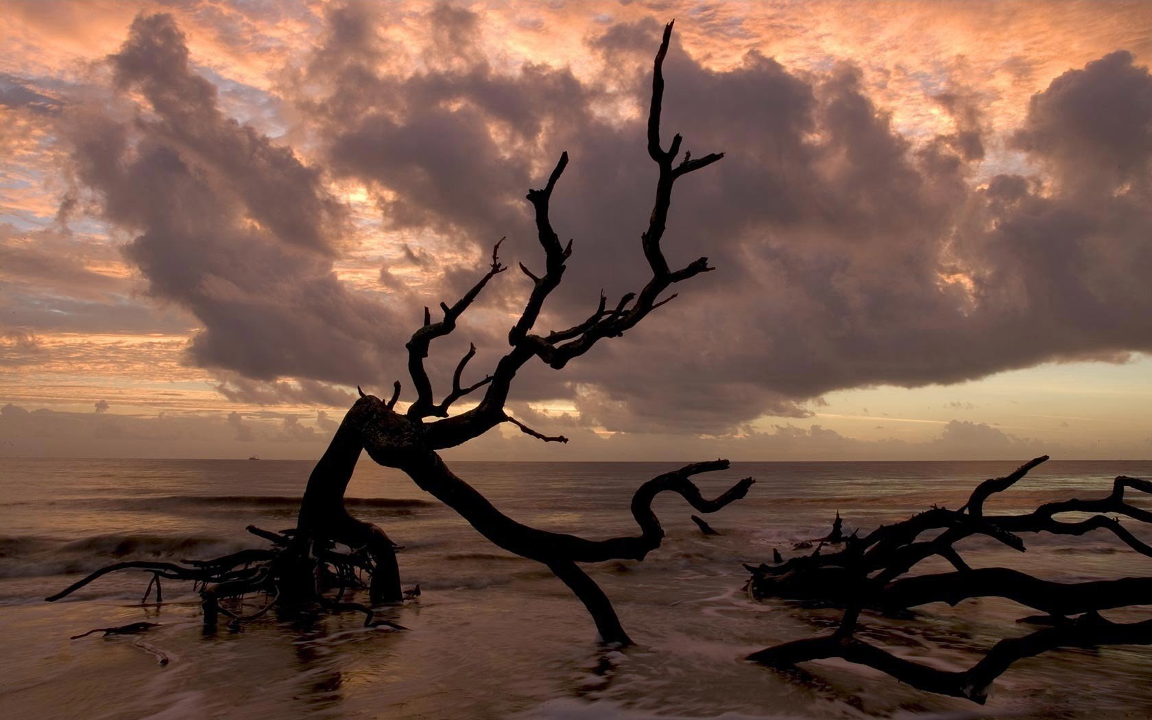 mer nuages horizon branche