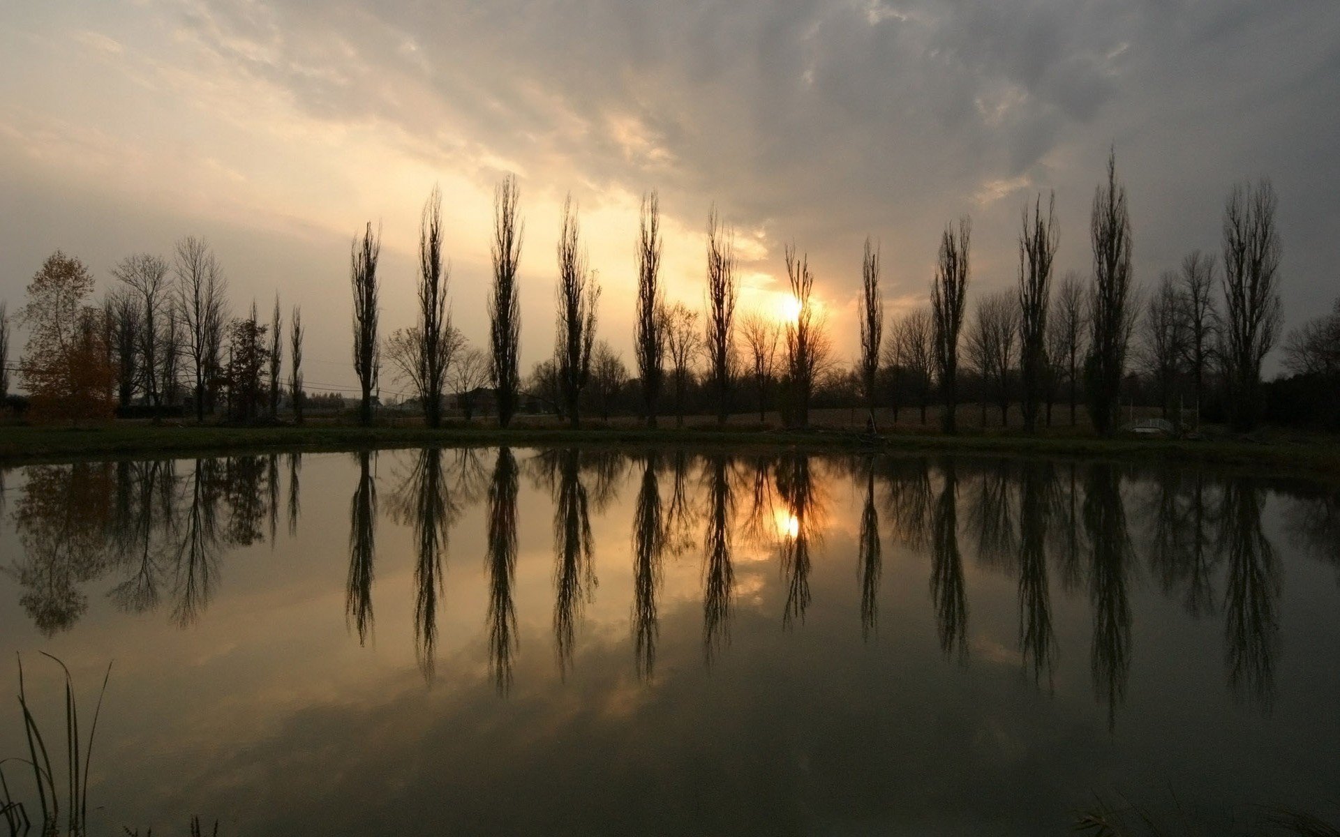 un pond sunset tree