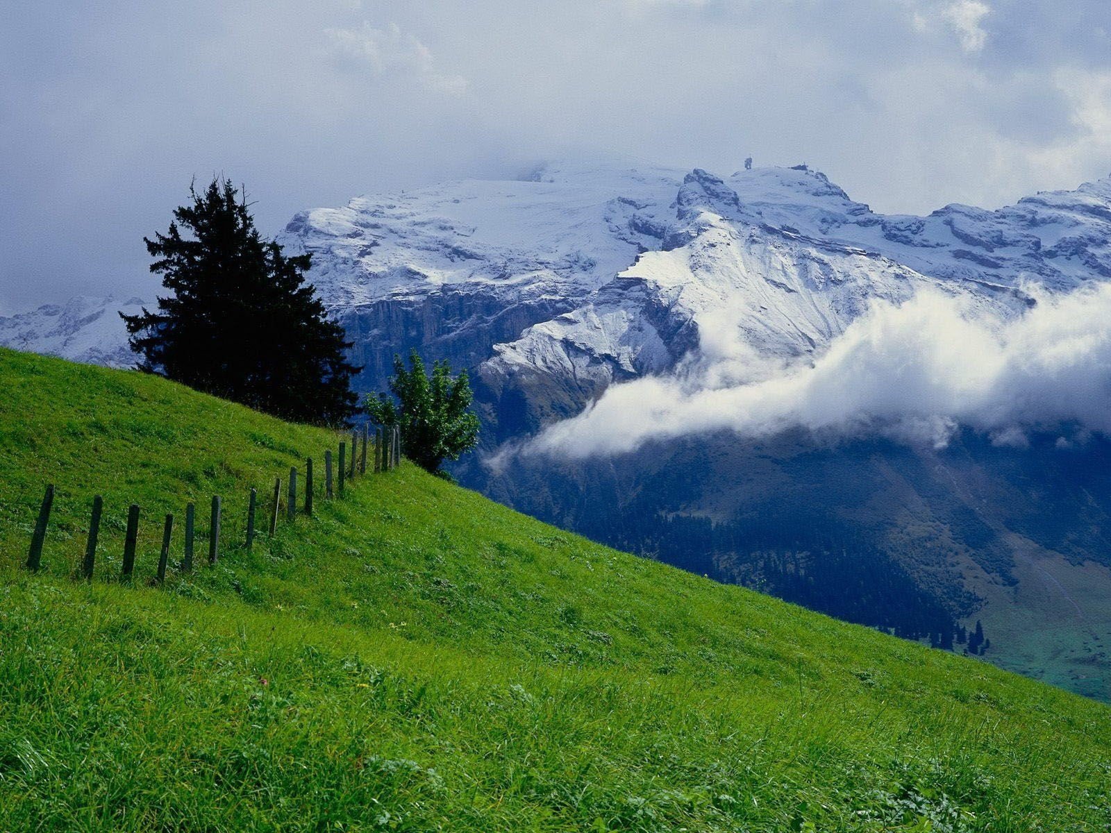 montagnes verdure pré ciel