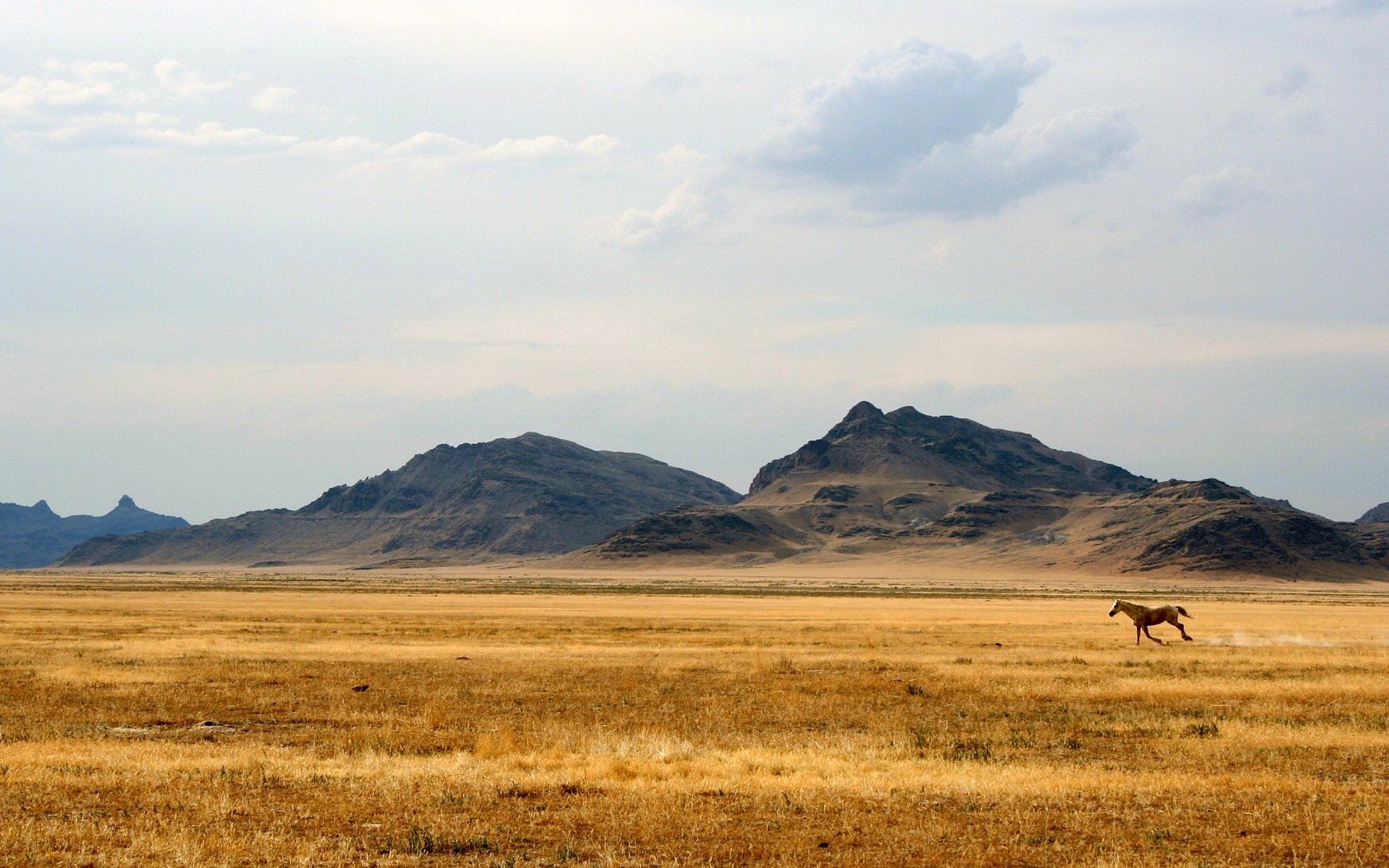 пустыня казахстана
