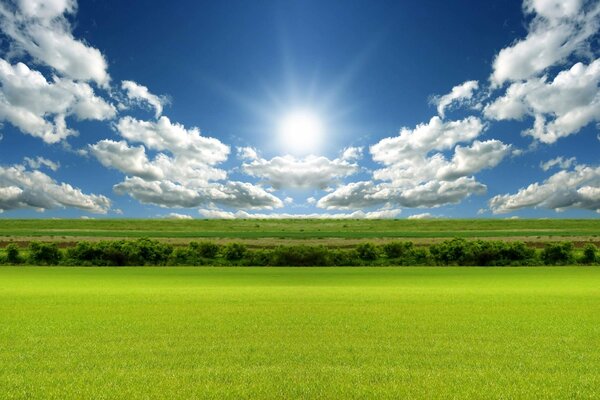 Un horizonte liso de campos verdes en un día despejado y soleado