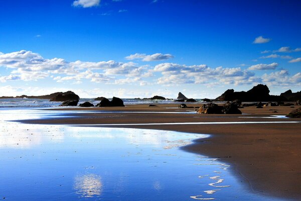 Beautiful landscape of the seashore