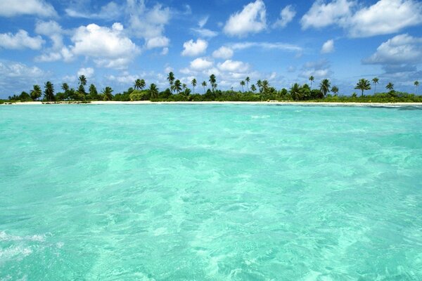 Landschaft. Meer mit Sandufer mit Palmen