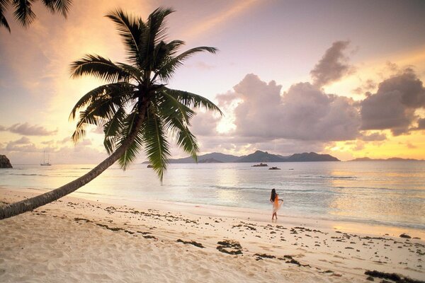 Palmier et fille aux Seychelles