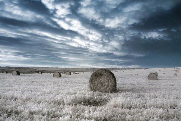 Les nuages s épaississent au-dessus du champ et des balles Solitaires