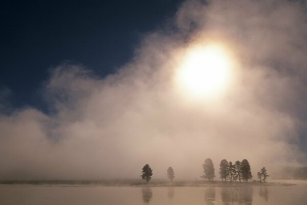 Arbres et lac au coucher du soleil brumeux