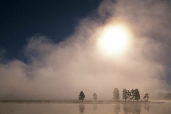 Alberi e lago in un tramonto nebbioso