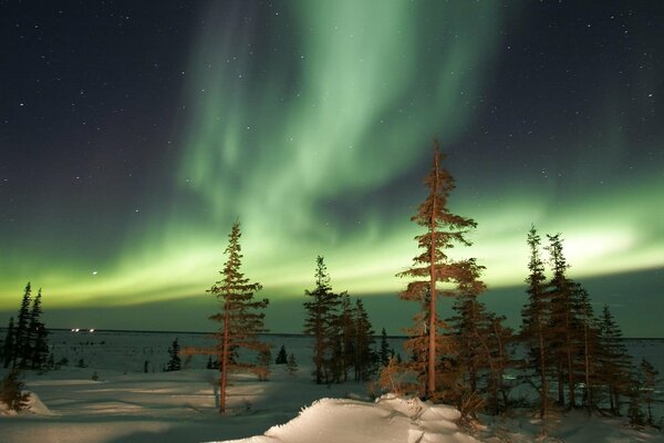 Magical winter night and Northern lights