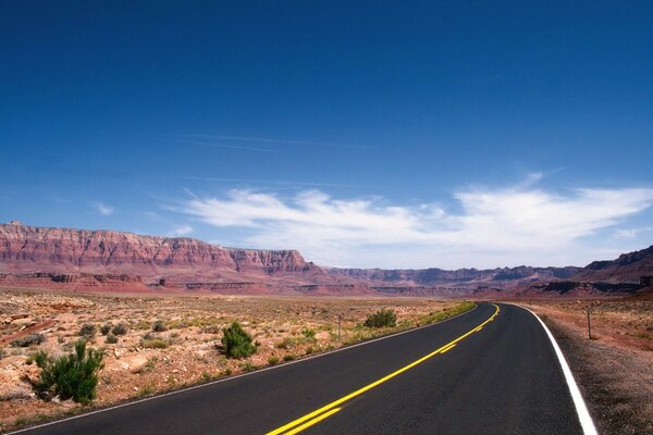 A marked road leading into the desert