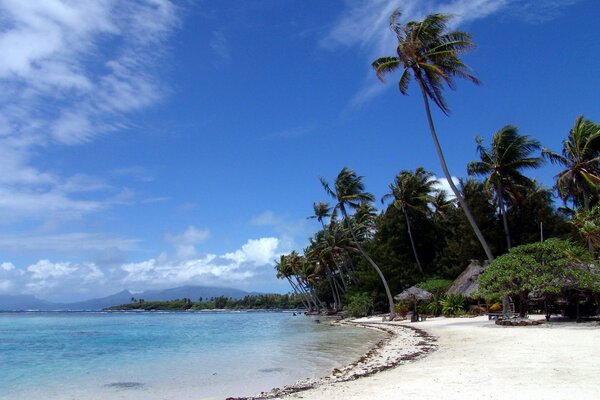 Eine paradiesische Insel mit Palmen und weißem Sand inmitten des blauen Ochsen und des Himmels