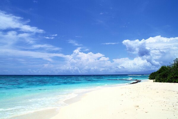 Spiaggia sabbiosa vicino al mare blu