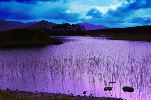 Lago lilla contro il cielo blu