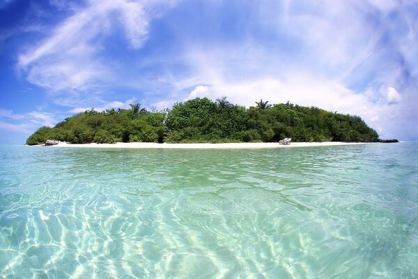 Vacanze su un isola tropicale sullo sfondo del mare