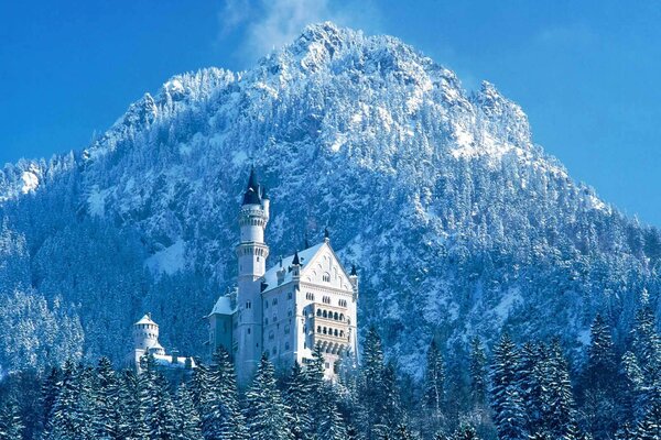 La foresta di conifere invernale incornicia il magnifico castello