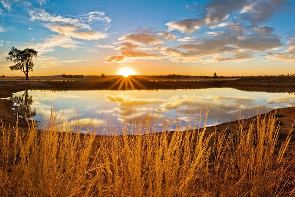 A lake surrounded by fields in the rays of the setting sun