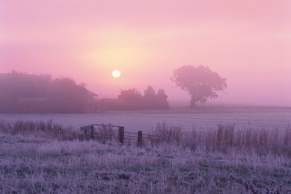 Brouillard et le soleil le matin glacial