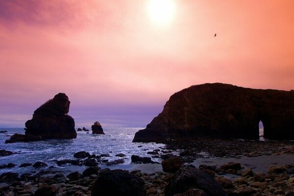 Seagull over the sea among the rocks