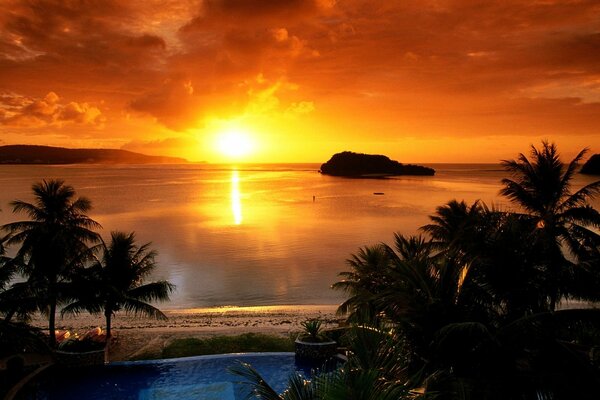 Sunset on the sea by the beach with palm trees