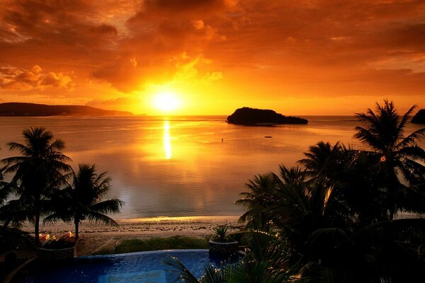 Zachód słońca nad morzem przy plaży z palmami