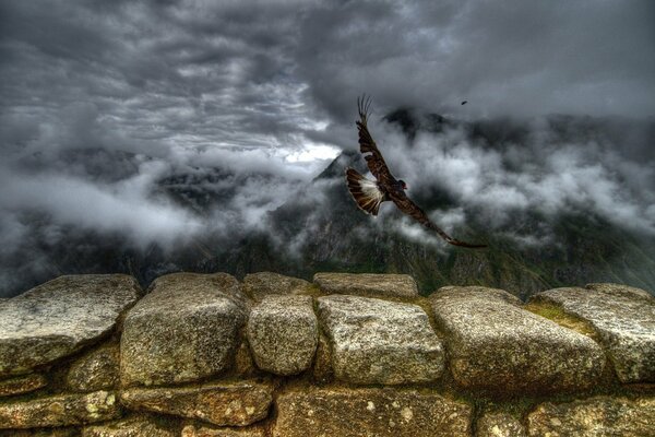 El vuelo del águila en las montañas