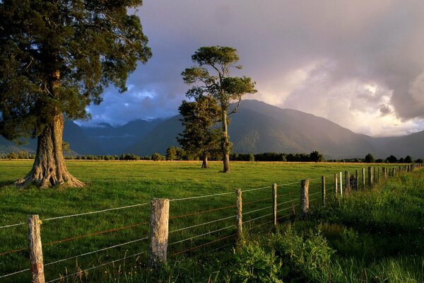 Prairie verte. Vue sur les montagnes