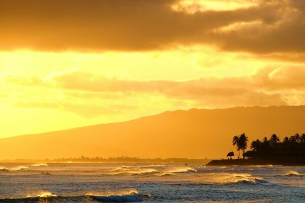 Olas del océano al atardecer con palmeras