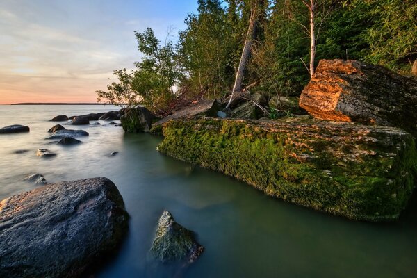 Pietre con muschio sulla riva del lago della foresta