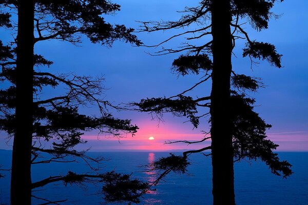 Cielo al tramonto e striscia di luce nell acqua