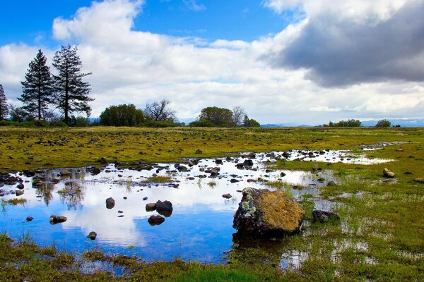 Die Natur. See im Wald, am Himmel Wolken